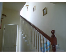 ��(sh��)ľ����